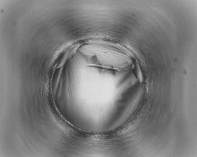 X0000088090064200706011614