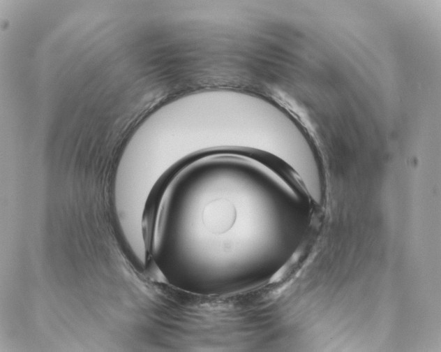 X0000088090065200706011614