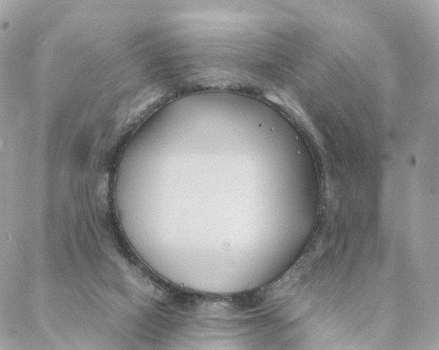 X0000088090066200706011614