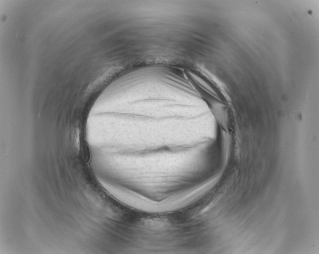 X0000088090067200706011614