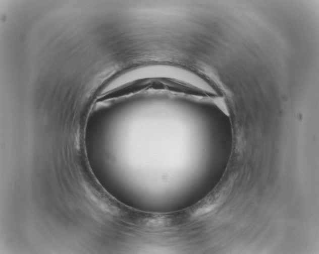 X0000088090068200706011614