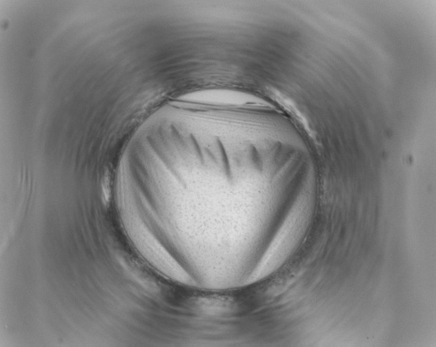 X0000088090069200706011614