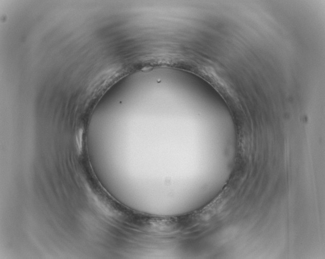 X0000088090070200706011614