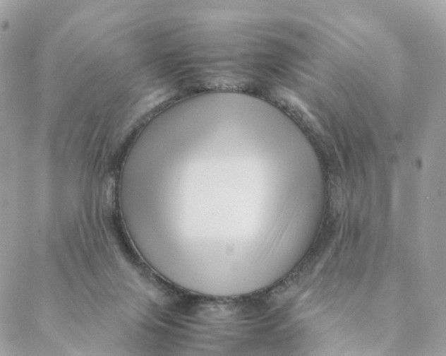 X0000088090071200706011614