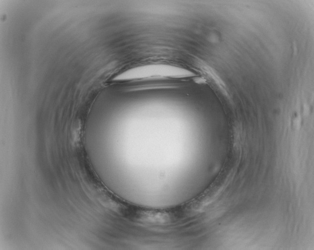 X0000088090073200706011614