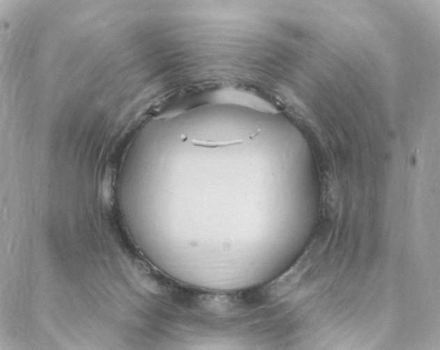 X0000088090074200706011614