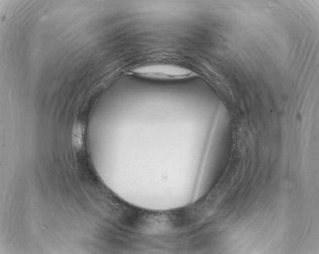 X0000088090075200706011614