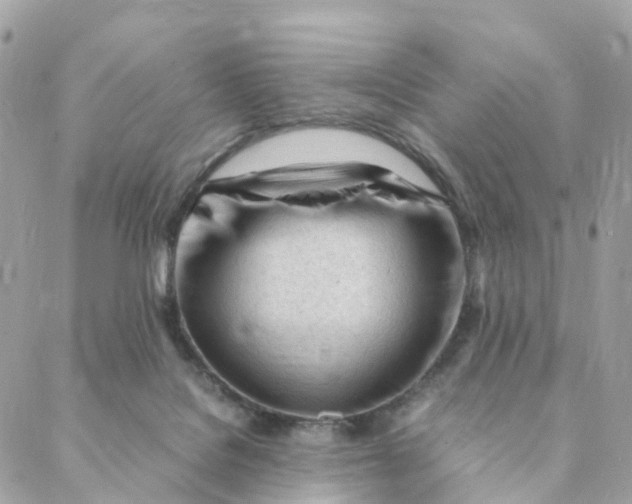 X0000088090076200706011614