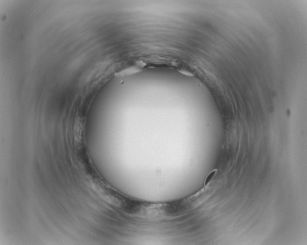 X0000088090078200706011614