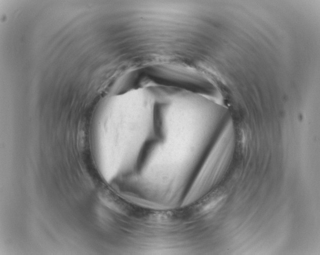 X0000088090080200706011614