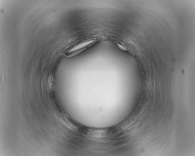 X0000088090081200706011614