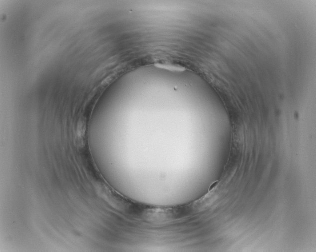 X0000088090082200706011614