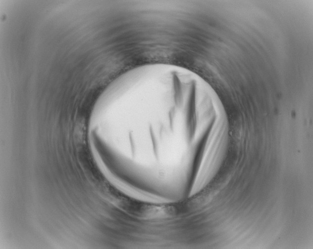 X0000088090083200706011614