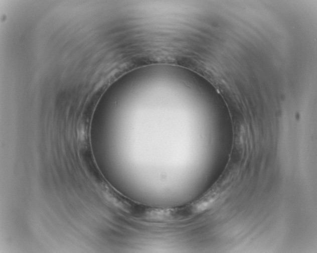 X0000088090084200706011614