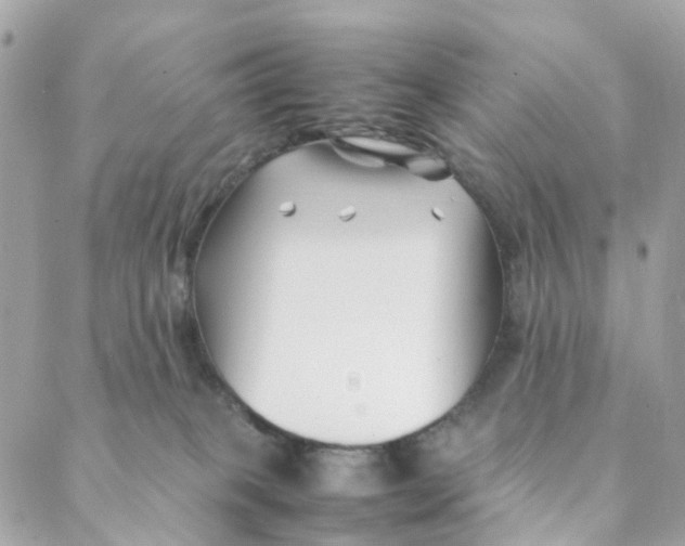 X0000088090085200706011614