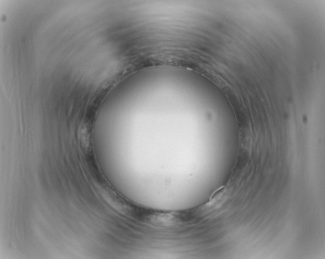 X0000088090086200706011614