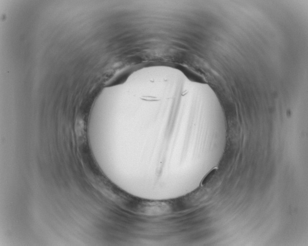 X0000088090087200706011614