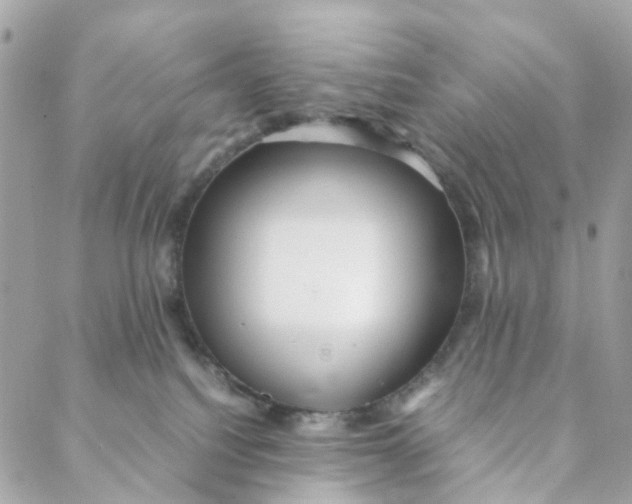 X0000088090088200706011614