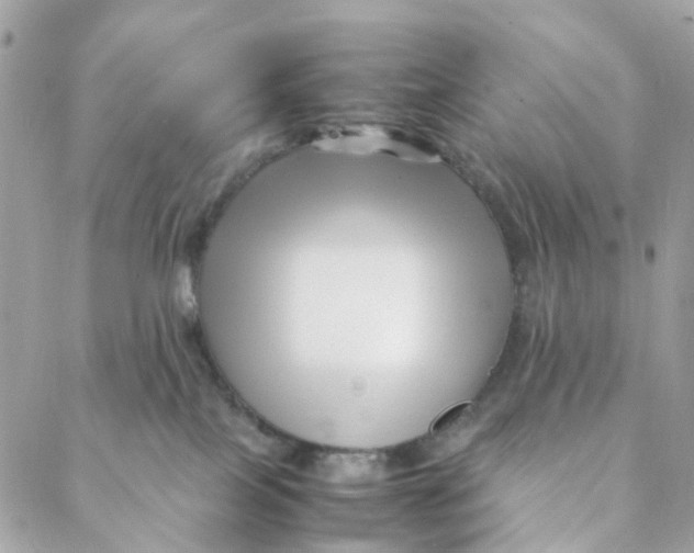 X0000088090089200706011614