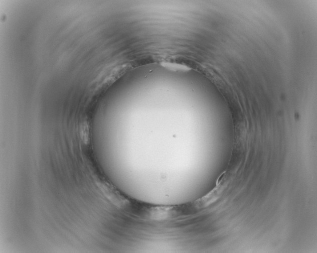 X0000088090090200706011614