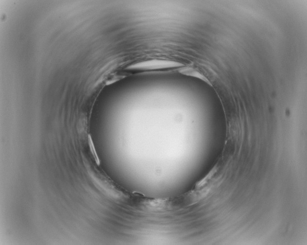 X0000088090092200706011615