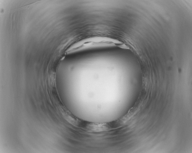 X0000088090093200706011615