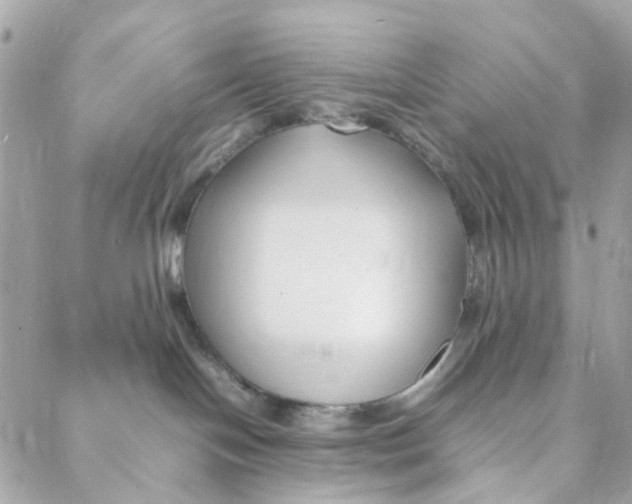 X0000088090094200706011615