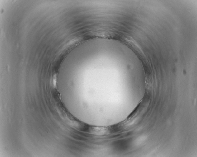 X0000088090095200706011615