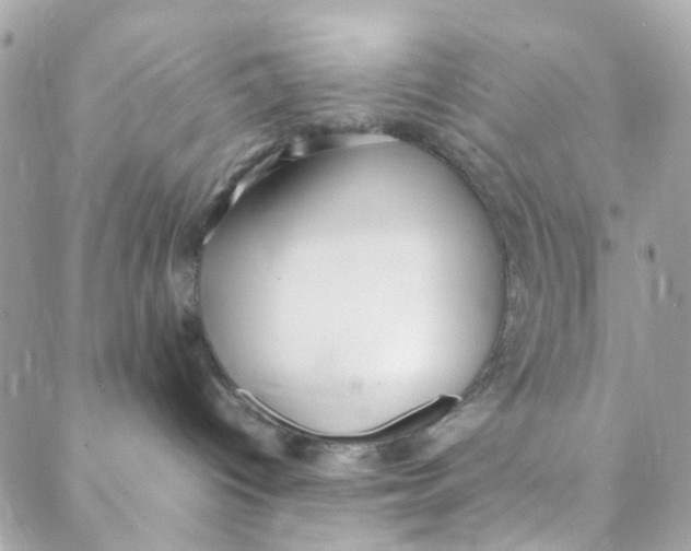 X0000088090096200706011615