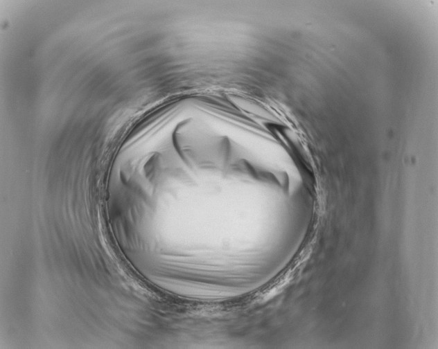 X0000088090097200706011614