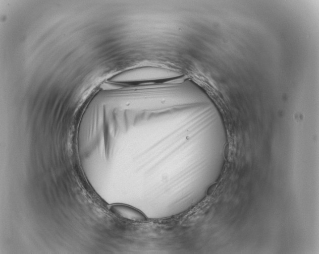 X0000088090098200706011614