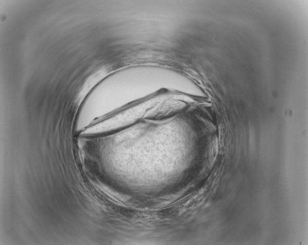 X0000088090099200706011614