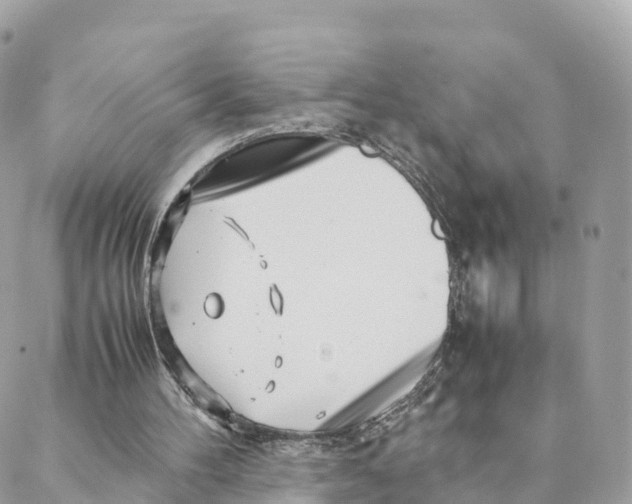 X0000088090100200706011614