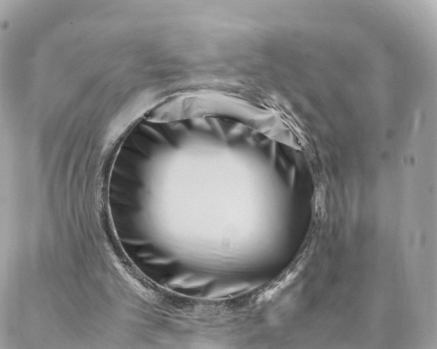 X0000088090101200706011614