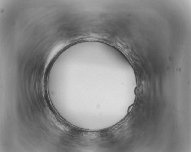 X0000088090102200706011614