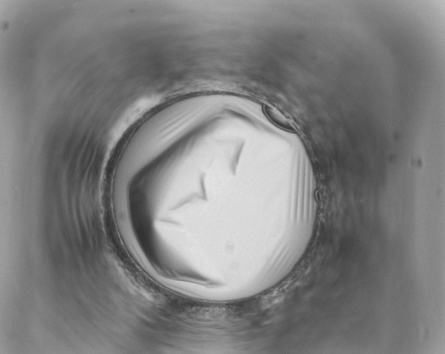 X0000088090104200706011614