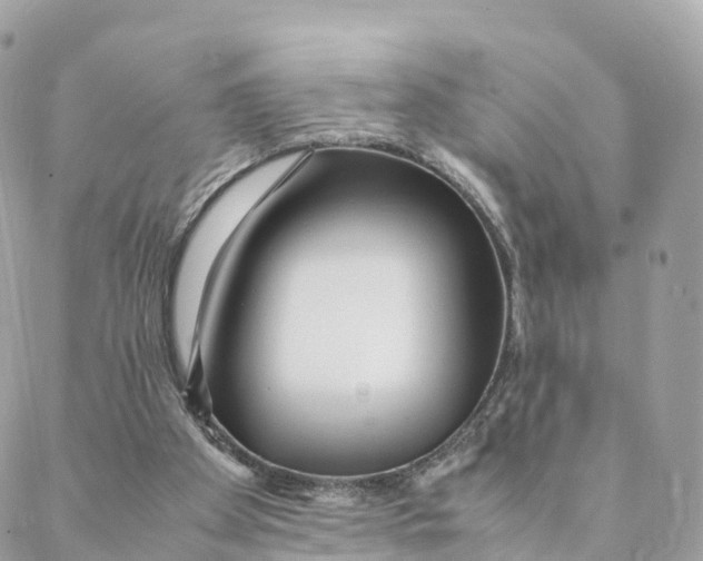 X0000088090105200706011614