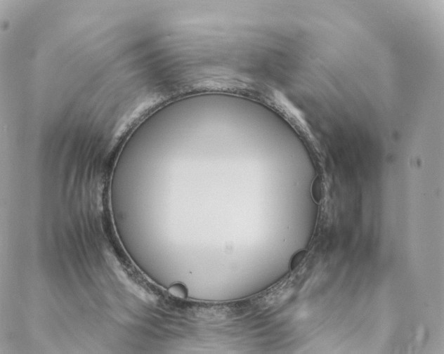 X0000088090106200706011614