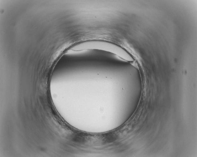 X0000088090107200706011614