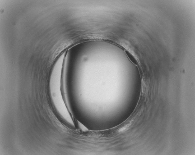 X0000088090109200706011614