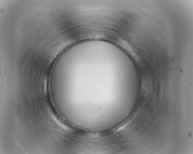 X0000088090110200706011614