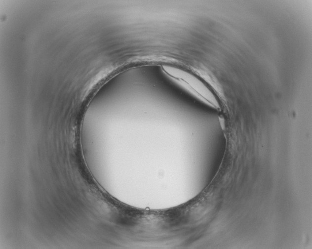 X0000088090111200706011614