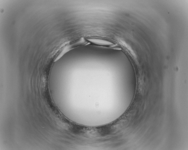 X0000088090113200706011614