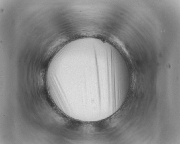 X0000088090114200706011614