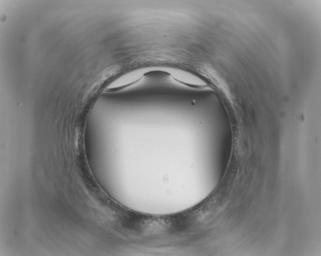 X0000088090115200706011613