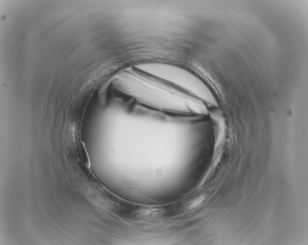 X0000088090117200706011613