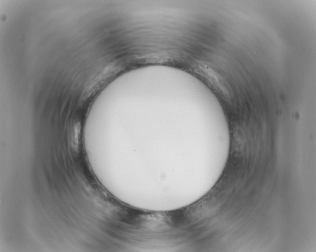 X0000088090118200706011613