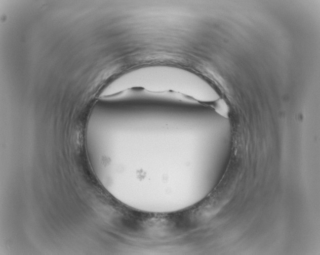 X0000088090119200706011613