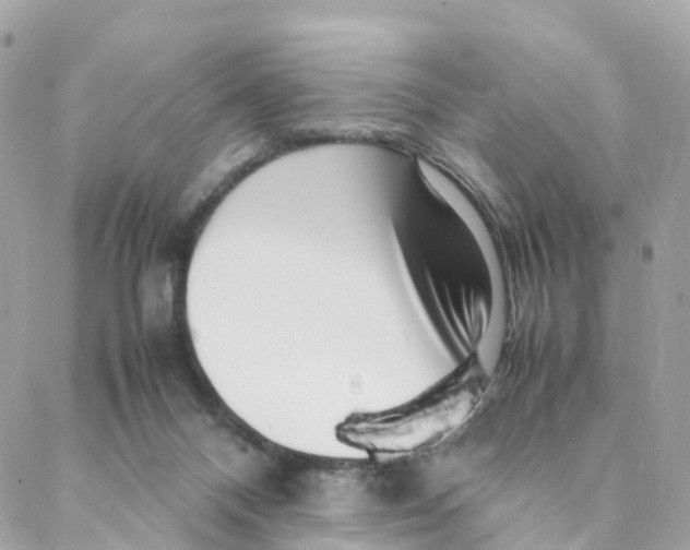 X0000088090120200706011613