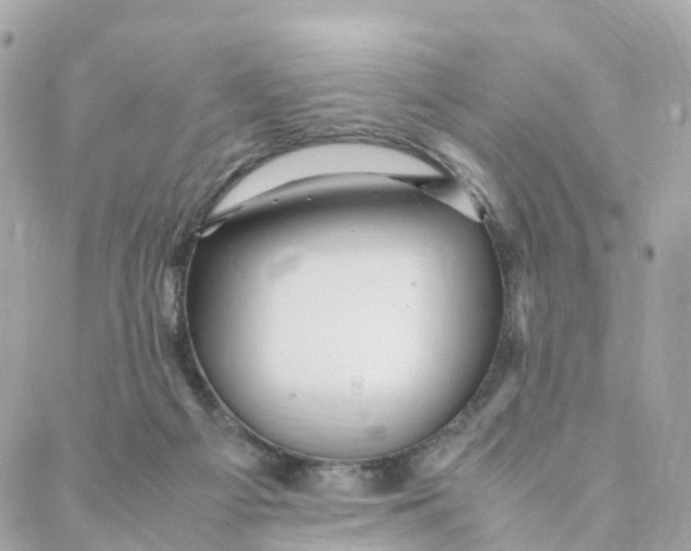 X0000088090121200706011613